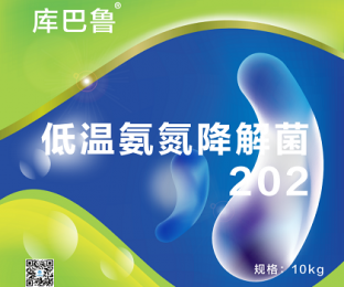 库巴鲁低温氨氮降解菌202—硝化细菌